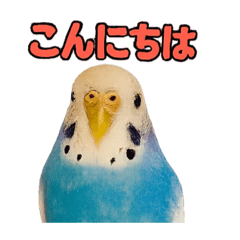 orange_20251019125743