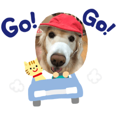 Happydog_20251019125236