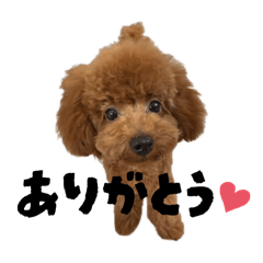 honatarou_20251019133659