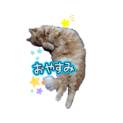 nanami_20251019131619