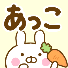 Rabbit Usahina akko