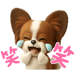 ayame_20251019145354