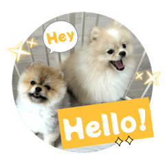 bluemonday.bruce_20251018164016