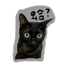 烏毛肥