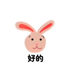 小兔子希希
