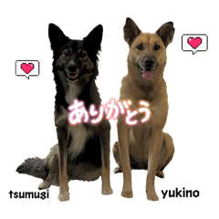 hana_20251019161953