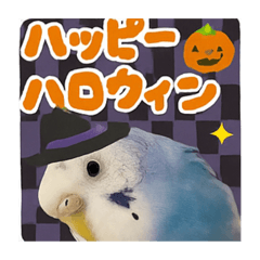 pokopokoseijin Halloween