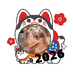 Sakura_20251019173003