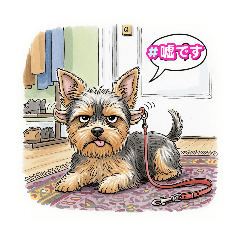 sugar_20251019165932