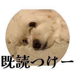hana_20251019172859