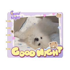 Minni_20251019161115