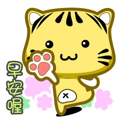 可愛條紋小貓貓!!!CAT31