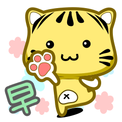可愛條紋小貓貓!!!CAT33