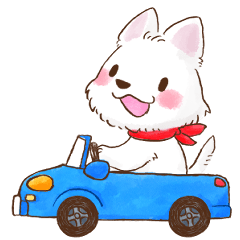 Daily used BorderCollie sticker 4!