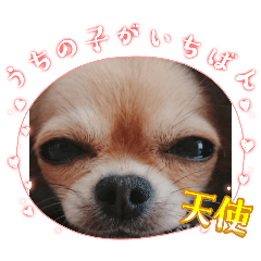 HANA_20251019174949