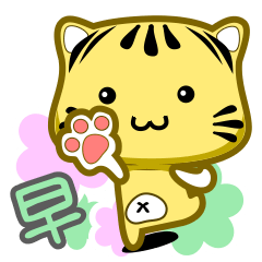 可愛條紋小貓貓!!!CAT29