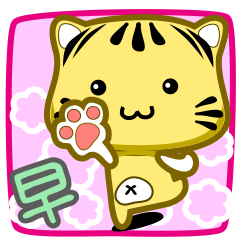 可愛條紋小貓貓!!!CAT43