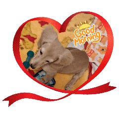 mocomama_20251019225109