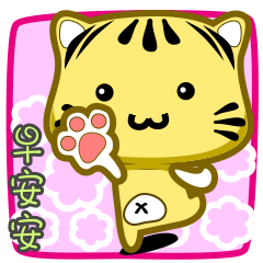 可愛條紋小貓貓!!!CAT47