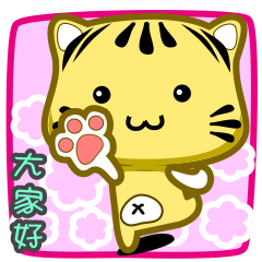 可愛條紋小貓貓!!!CAT48