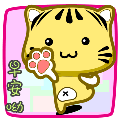 可愛條紋小貓貓!!!CAT53