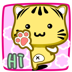 可愛條紋小貓貓!!!CAT44