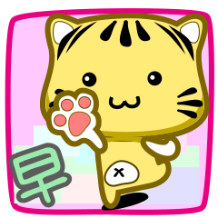 可愛條紋小貓貓!!!CAT50