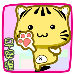 可愛條紋小貓貓!!!CAT52