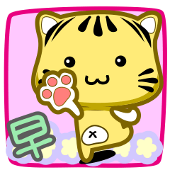 可愛條紋小貓貓!!!CAT76