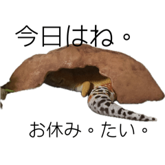 nanako_20251019195952