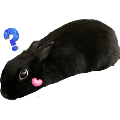 Ayachan_20251019225824