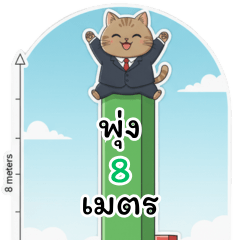 The hectic life of Meow, an investor