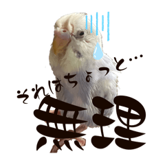 YUKARI_20251020092901