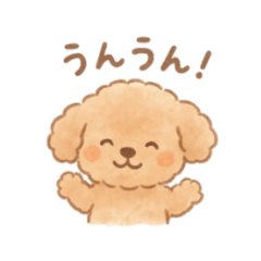 latte store_20251019190608