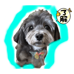 hozumi_20251019190556