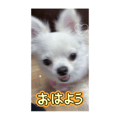 T_20251020042119