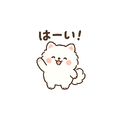 Adorable Pomeranian Days