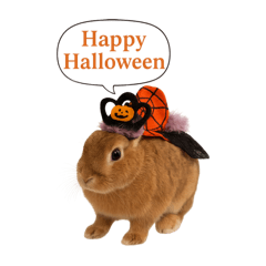 【ハロウィン】かわいい動物の癒しスタンプ