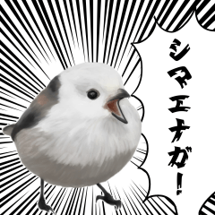 The Japanese Word Long-tailed tit
