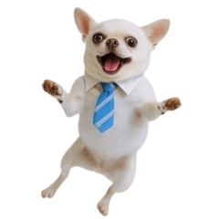 搖來搖去的商人吉娃娃 (ANM)