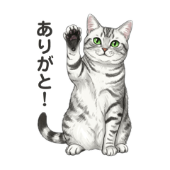 Masamune the cat stickers