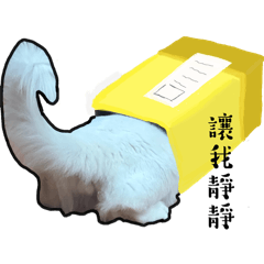 小覇布