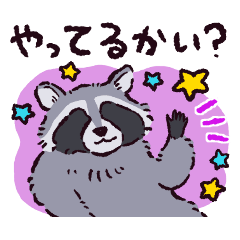 アライグマです