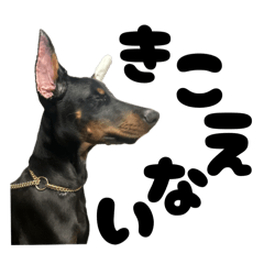 Jenny_20251020102615