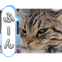 sasuke187_20251020111011