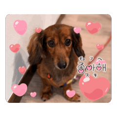 ANori_20251018173828