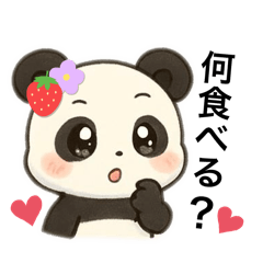 Cute panda everyday love
