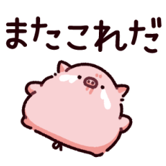 不憫なぶた