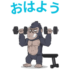 Cute Muscular Gorrila