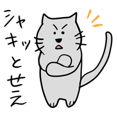 Fun cats who speak Kansai dialect
